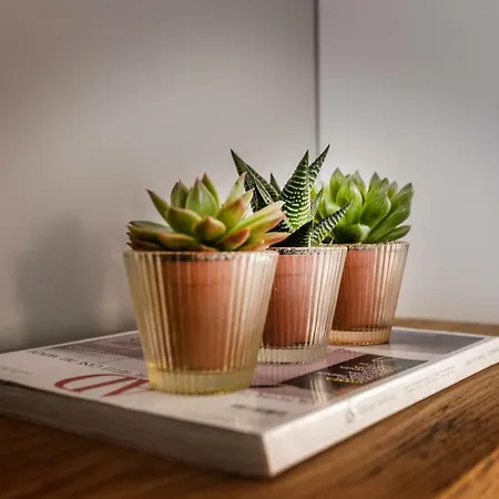 Appartement Picalof *